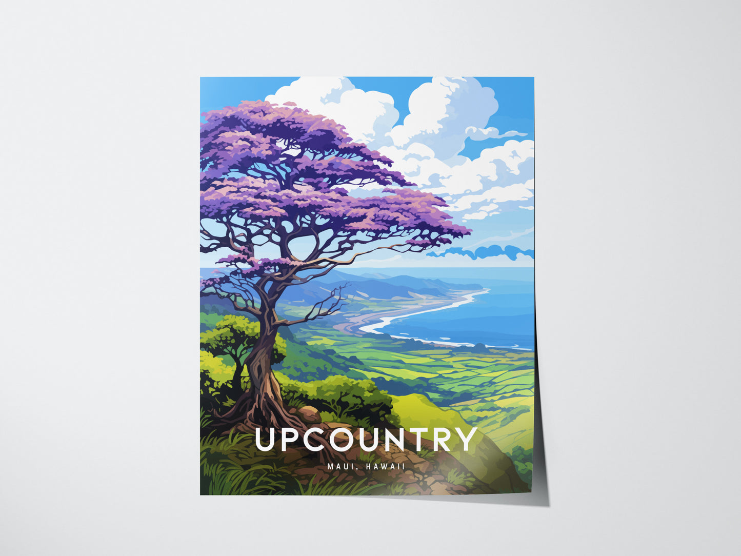 Upcountry Jacaranda, Maui, Hawaii