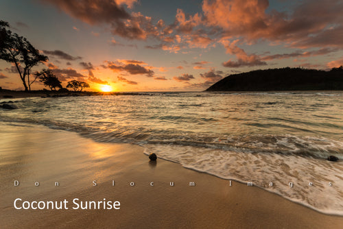 Coconut Sunrise by Don Slocum - DONS27224C