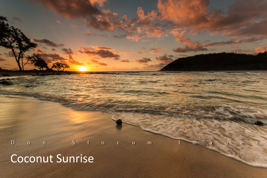 Coconut Sunrise by Don Slocum