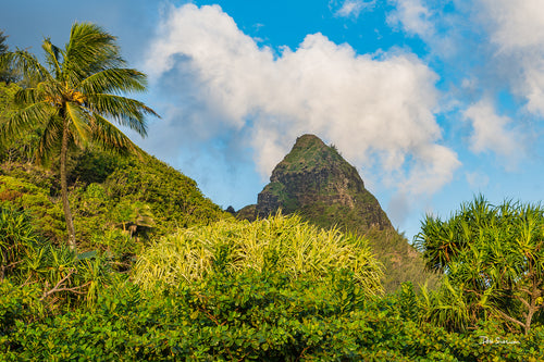 Bali High by Don Slocum