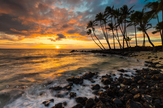 The Cove by Don Slocum