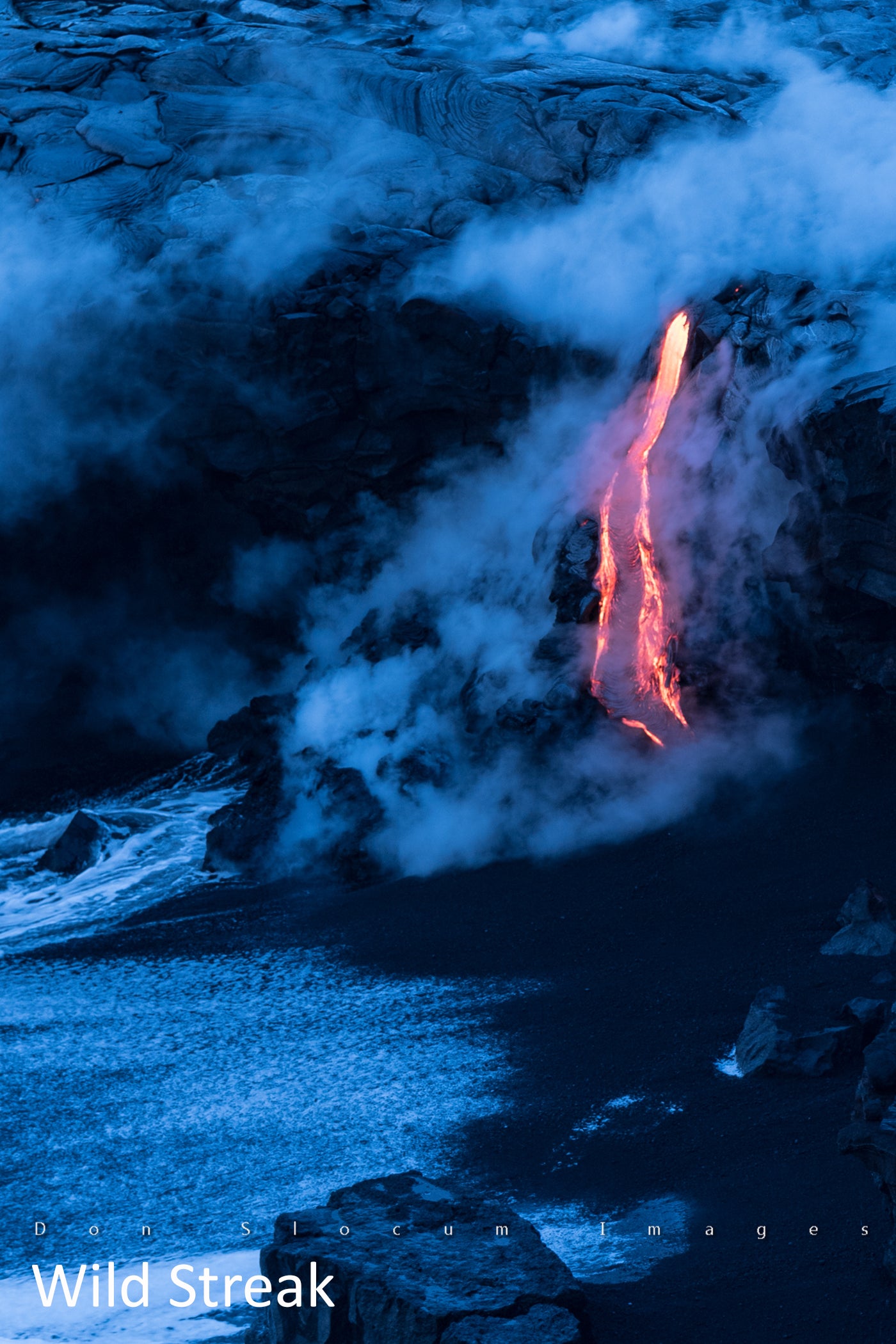 Wild Streak by Don Slocum