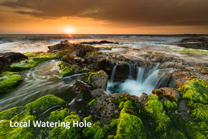 Local Watering Hole by Don Slocum