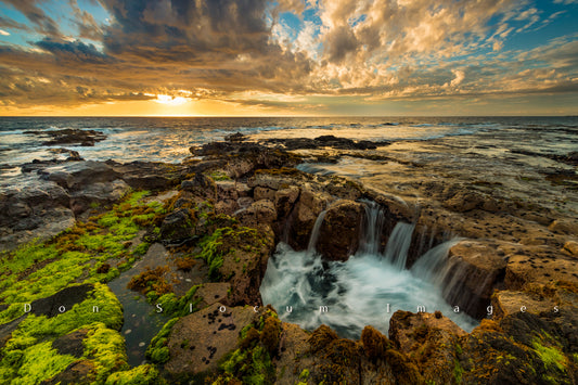 ドン・スローカム著『リム・ブルーム』 