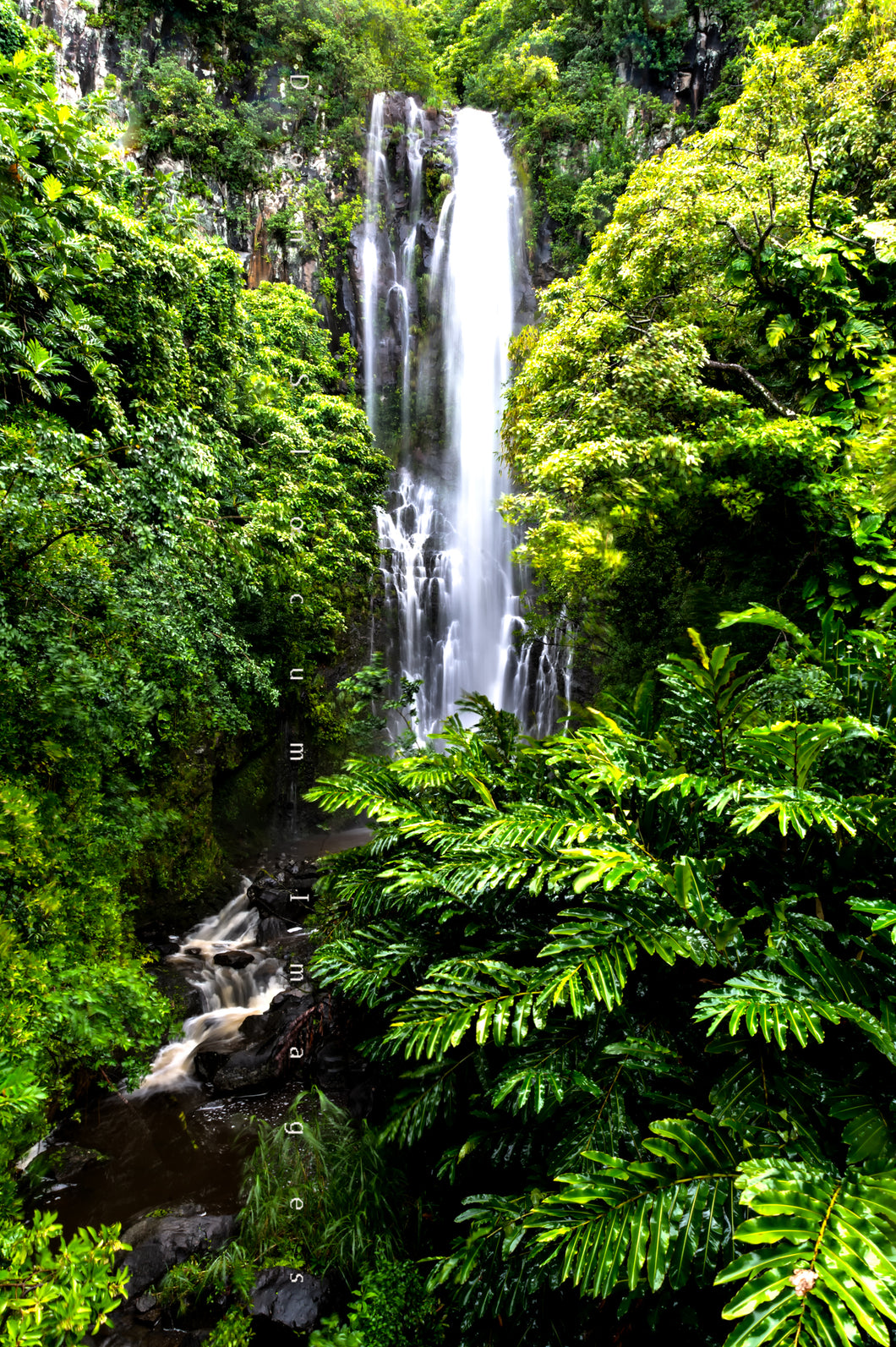 Waterfall Hana by Don Slocum
