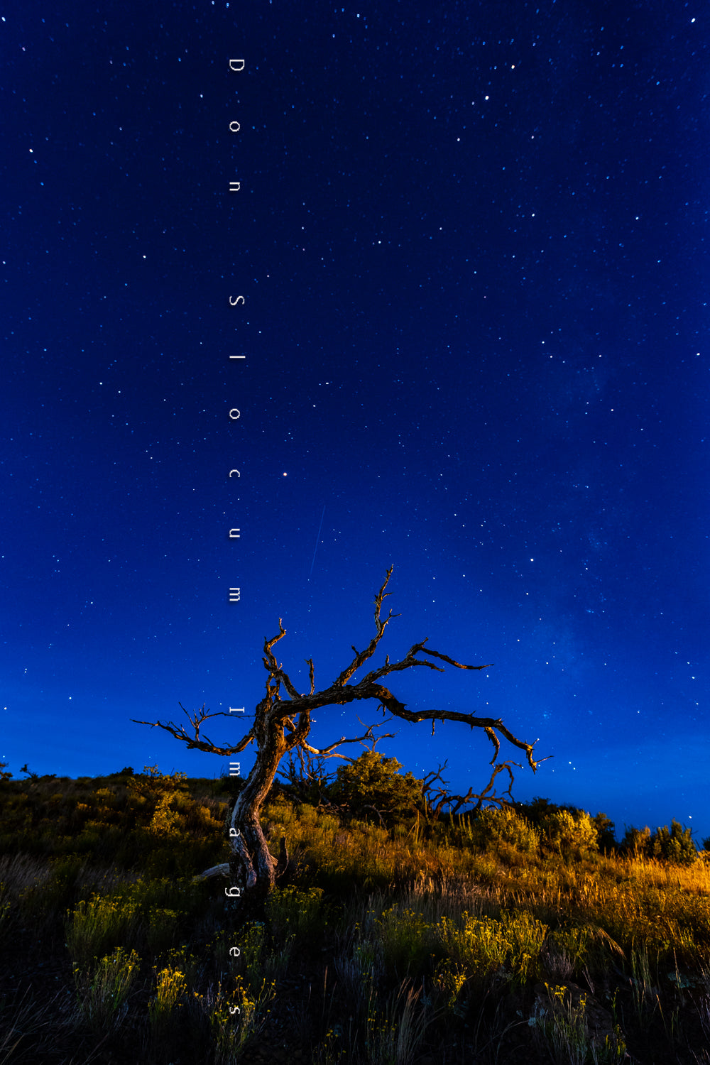 A veces me quedo fuera toda la noche por Don Slocum 