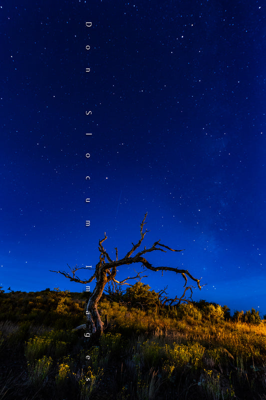 Sometimes I Stay Out All Night by Don Slocum