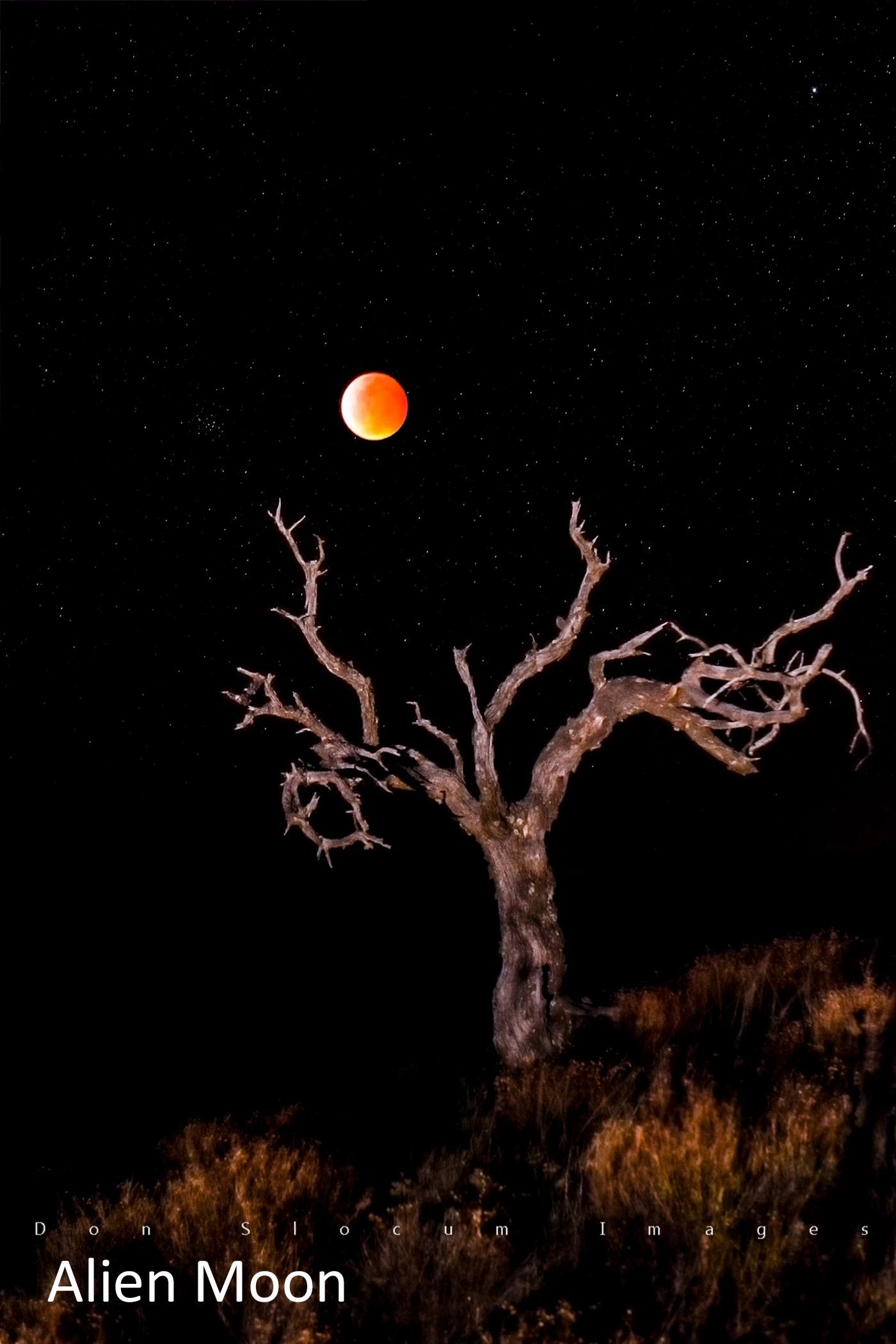 Alien Moon de Don Slocum 