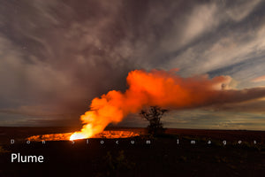 Plume by Don Slocum