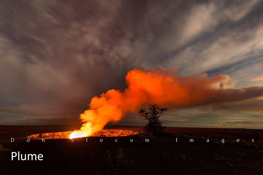 Plume by Don Slocum