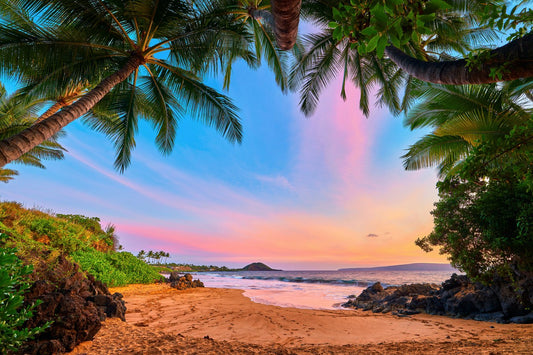 Aina enmarcada por Andrew Shoemaker