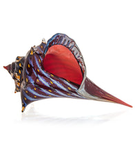 Glass Sculpture "Conch Shell Electric Red" by Ben Silver