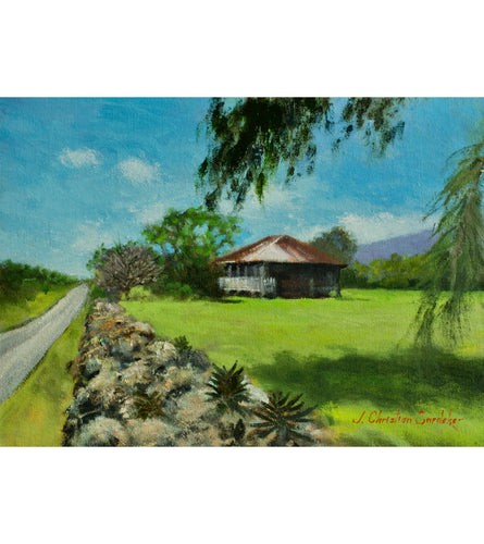 Back Road by Christian Snedeker supporting Maui fire relief efforts
