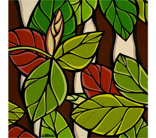 Banyan