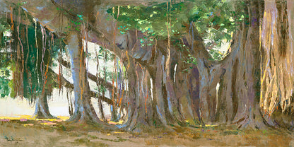 Banyan in the Zoo 1979 by Hiroshi Tagami