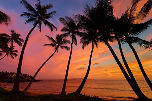 アンドリュー・シューメーカー著『ビギナーズ・ラック』