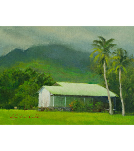 Below the Mountain by Christian Snedeker supporting Maui fire relief efforts