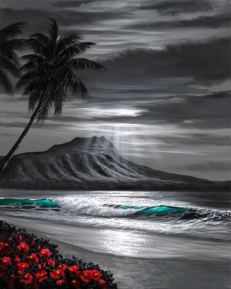 Black Diamond by Walfrido Garcia