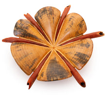 Norfolk Pine Wood Sculpture "Sand Dollar IV" by Dan Stevenson