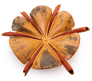 Norfolk Pine Wood Sculpture "Sand Dollar IV" by Dan Stevenson