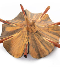 Norfolk Pine Wood Sculpture "Flora Flora" by Dan Stevenson