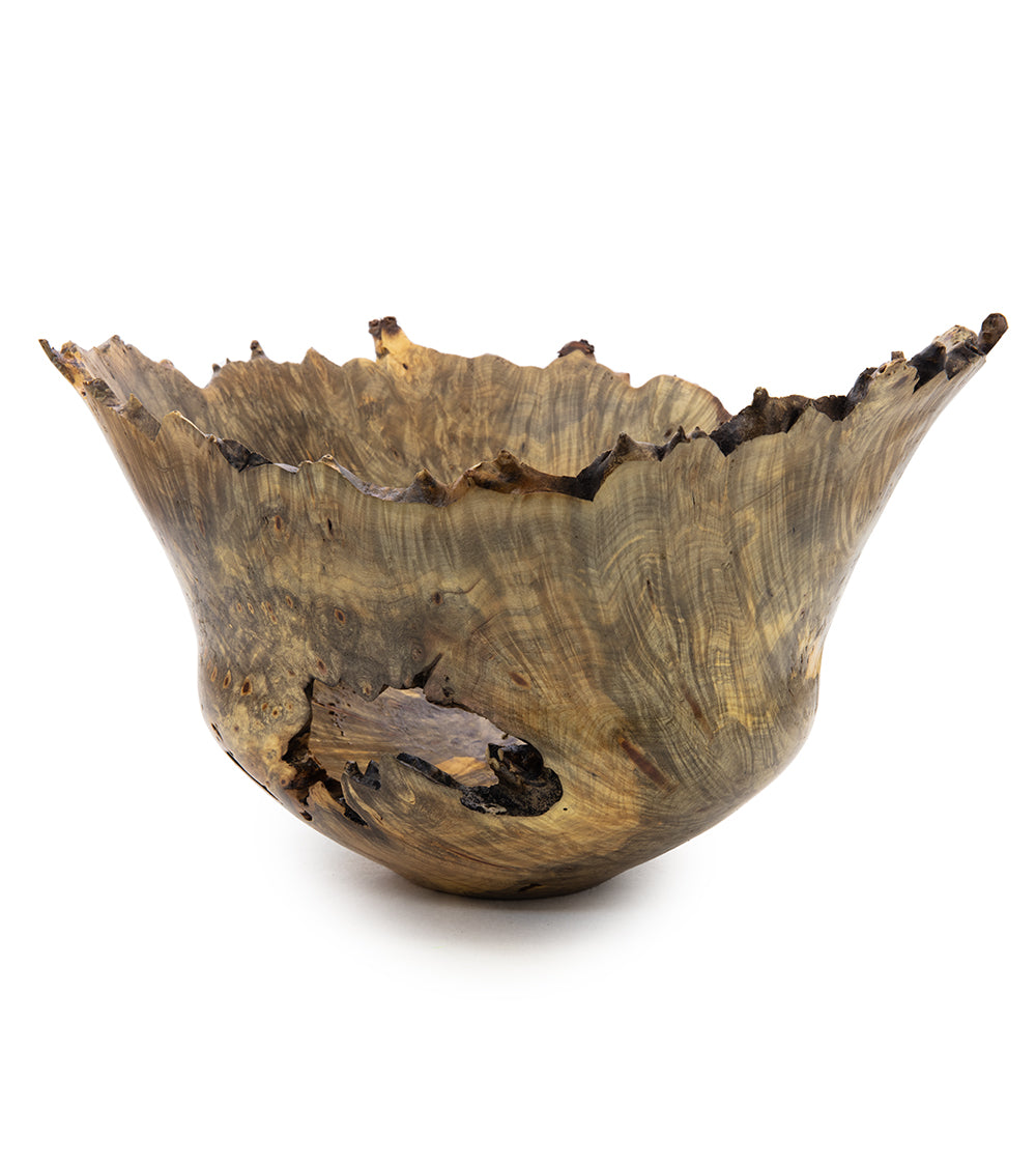 Buckeye Natural Edge Bowl with Flared Rim and Voids #32248C
