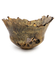 Buckeye Natural Edge Bowl with Flared Rim and Voids #32248C