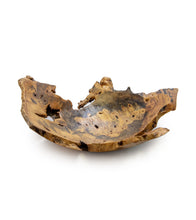 Buckeye Elm Hollow Form Regular Edge #37409C