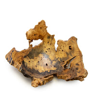 Buckeye Elm Hollow Form Regular Edge #37409C