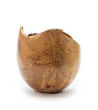 Maple Vessel #37413C