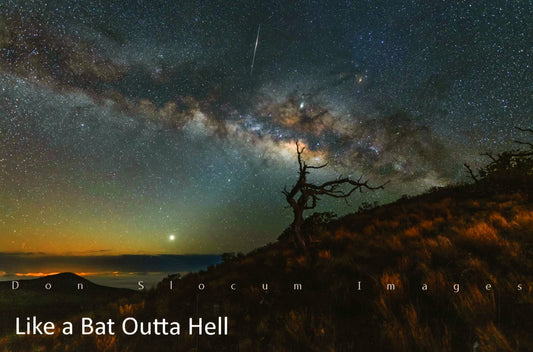 ドン・スローカム著『Like A Bat Outta Hell』 