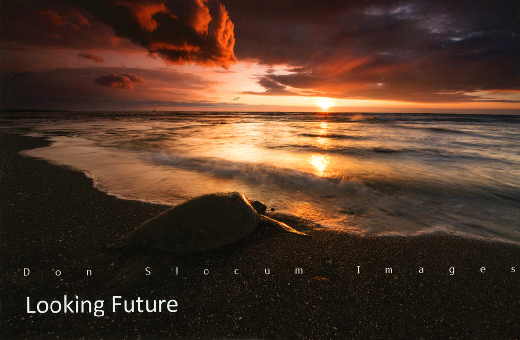 Looking Future by Don Slocum