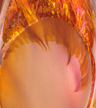 Glass Fish "Pink Amber" by Jim Graper
