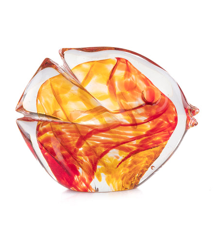 Glass Fish 