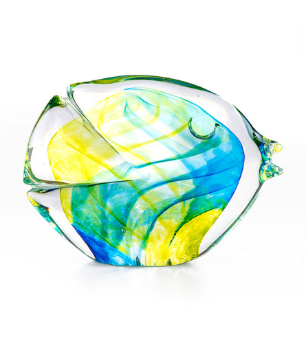Glass Fish 