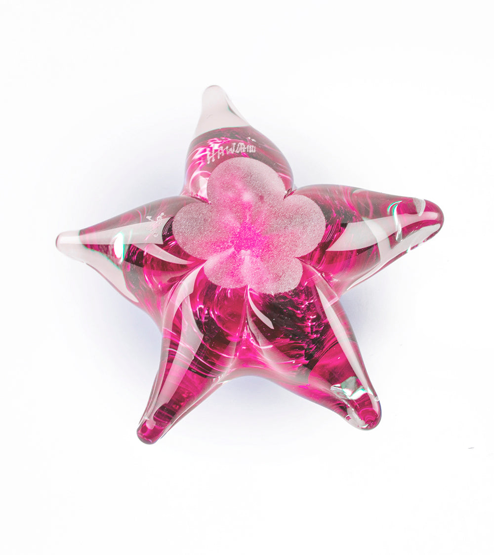 Glass Starfish "Pink" by Jim Graper
