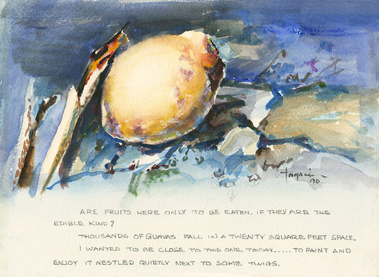 Guava by Hiroshi Tagami