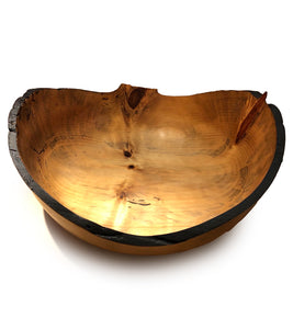 Norfolk Pine Bowl #25866-2067 by Aaron Hammer