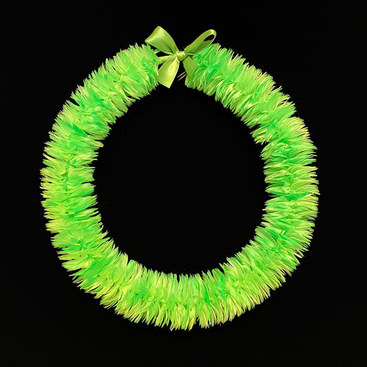 Melodía de primavera Poepoe #24732