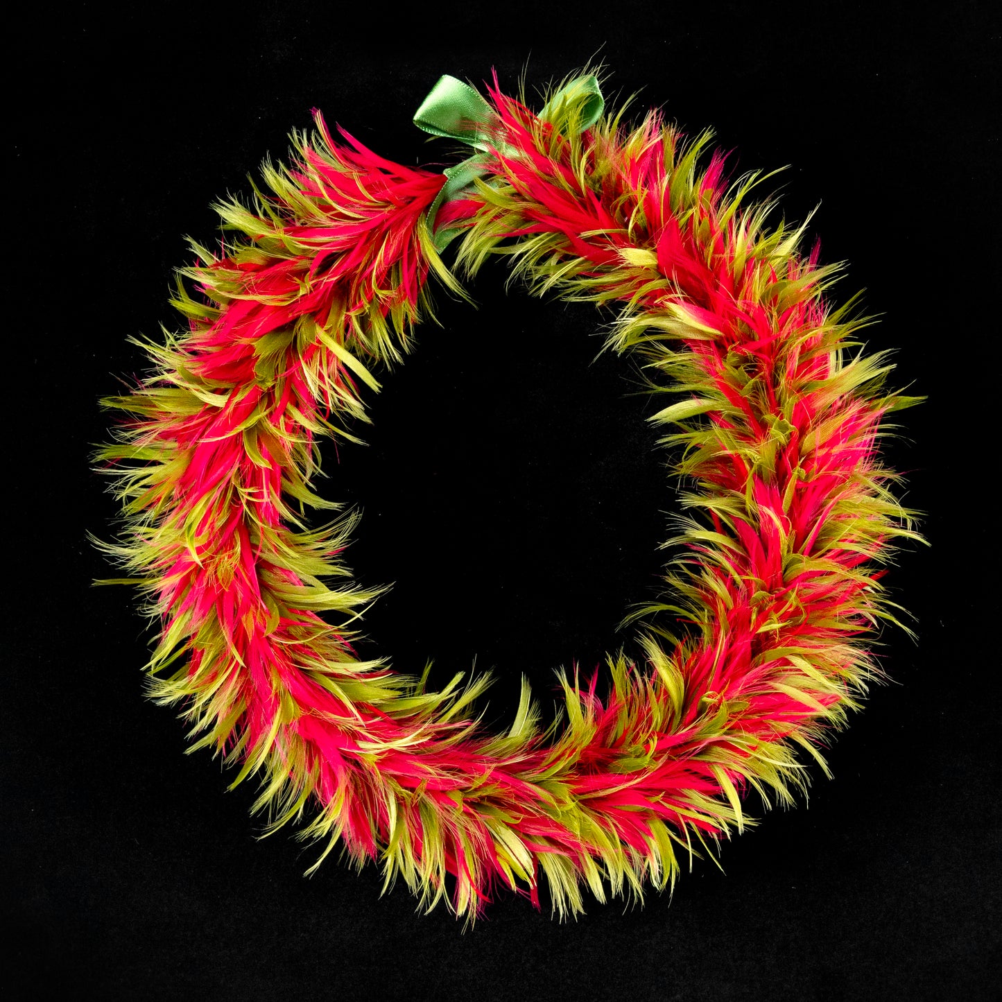 フィアース・ティ・グレン/ワインレッド・ポエポ #18651