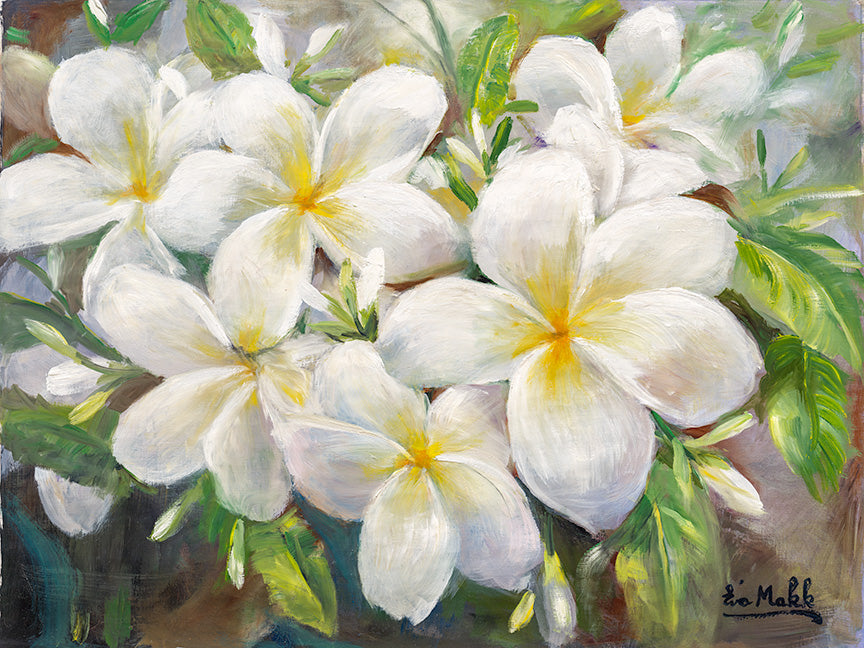 Fragancia hawaiana de Eva Makk