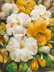 Hibiscus Sparkle by Eva Makk