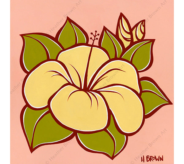 Hibiscus
