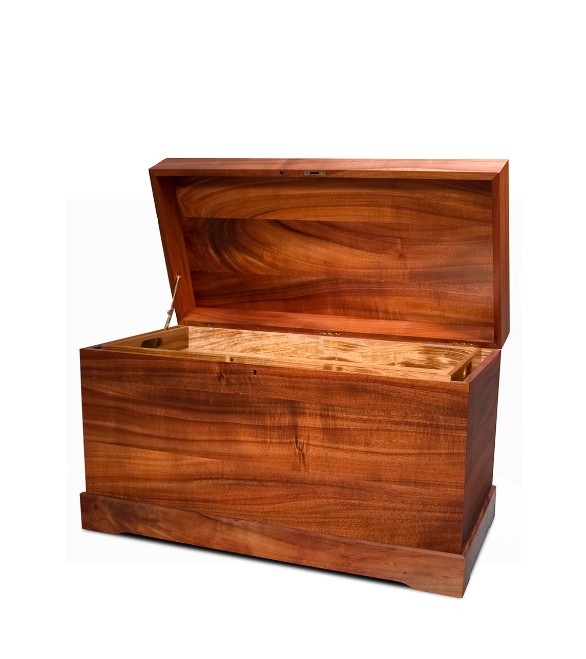 コア移民のトランク