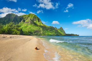 Island Mystique by Andrew Shoemaker