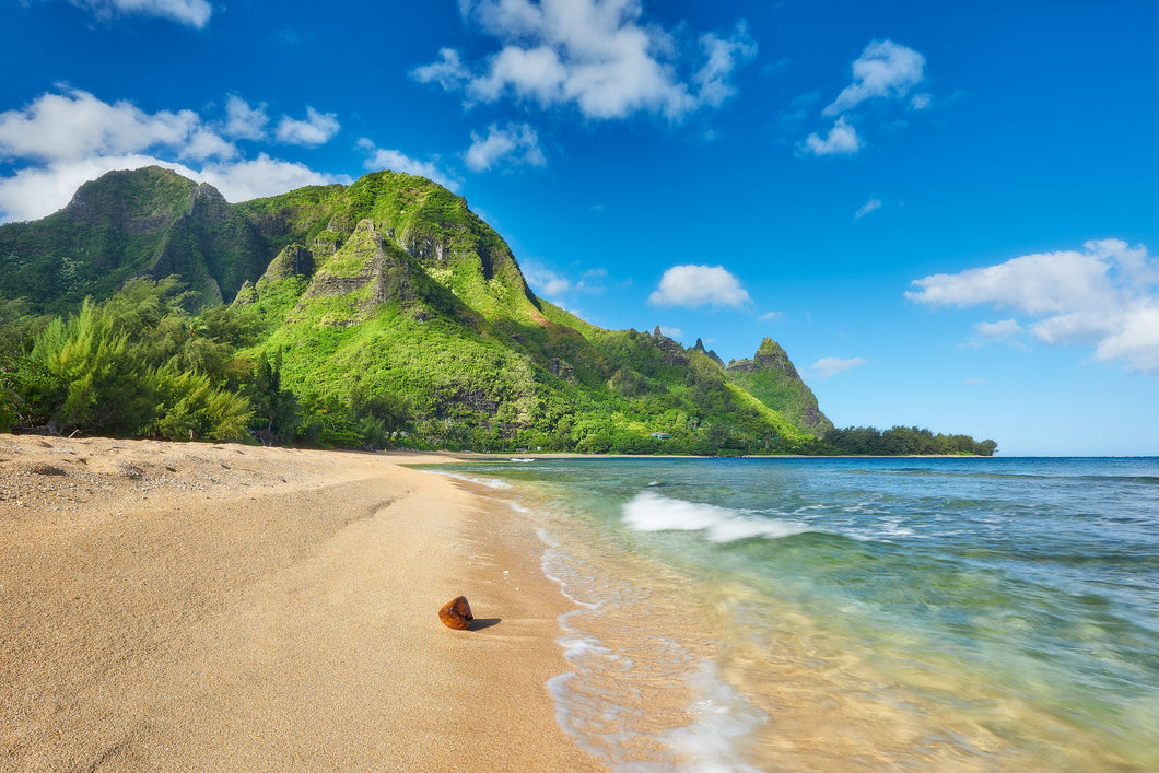Island Mystique by Andrew Shoemaker