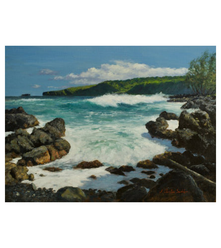 Ke'anae Shore by Christian Snedeker supporting Maui fire relief efforts