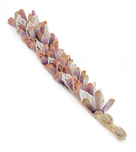 Pink Vana w/White Sliced Shell Bracelet 54302