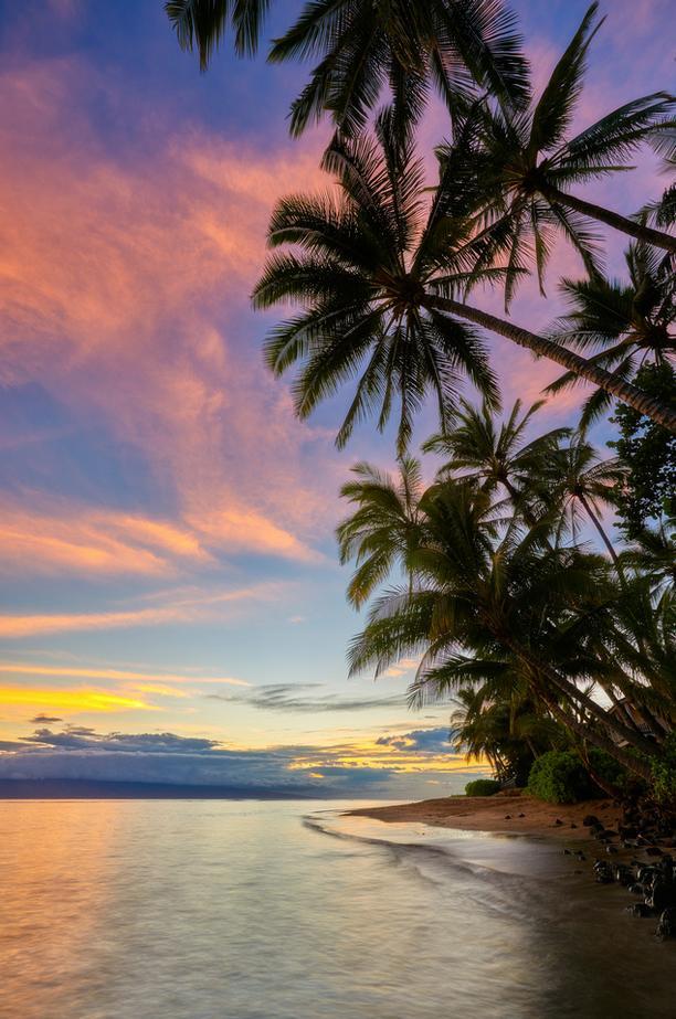 Lahaina Bliss by Andrew Shoemaker