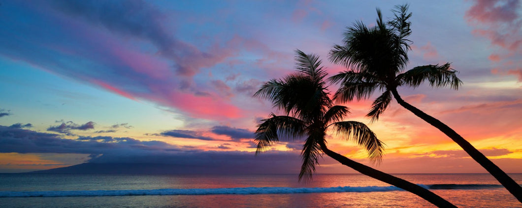 Lover's Paradise by Andrew Shoemaker